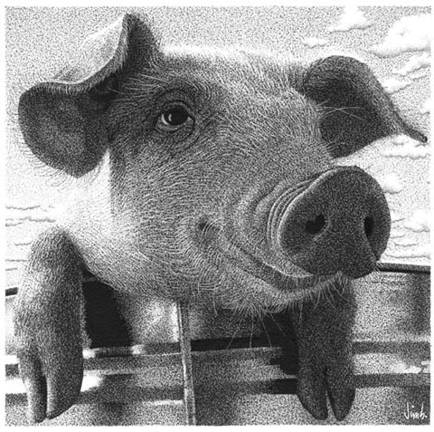 "FRIENDLY PIG" is copyright &copy;2008 by Jim Blanchard.  All rights reserved.  Reproduction prohibited.
