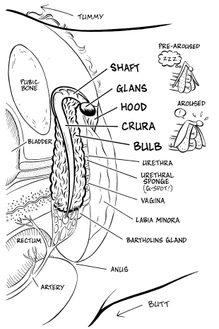 "Anatomy" is copyright ©2008 by Colleen Coover.  All rights reserved.  Reproduction prohibited.