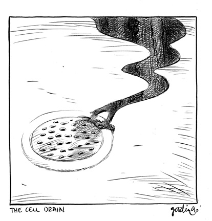 "McSWEENEY'S 21 Tall Man - Cell Drain" is copyright ©2008 by Robert Goodin.  All rights reserved.  Reproduction prohibited.