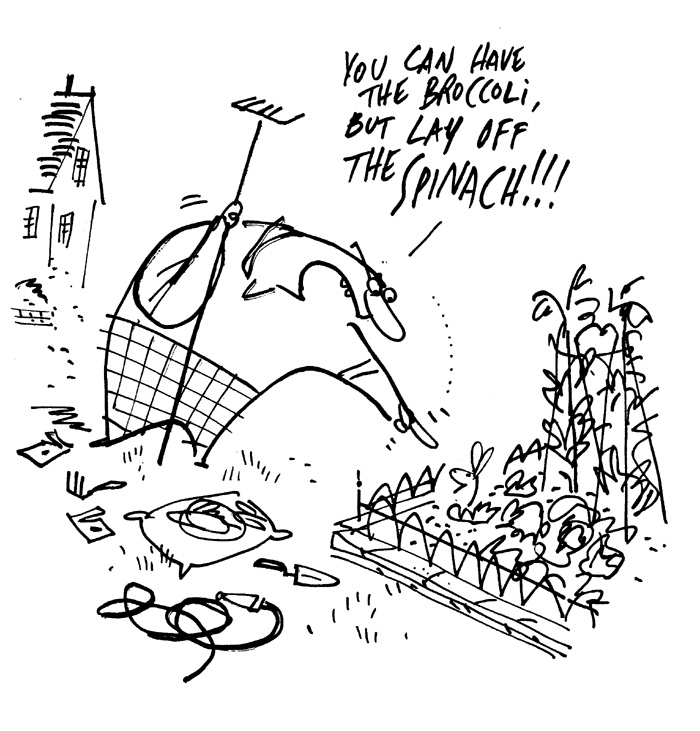 "Cape Cod Chronicle Cartoon - Brocolli" is copyright ©2008 by Bob Staake.  All rights reserved.  Reproduction prohibited.