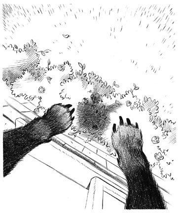 "The Suicidal Dog Illustration - Fall" is copyright ©2008 by Robert Goodin.  All rights reserved.  Reproduction prohibited.