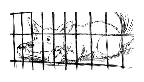 "The Suicidal Dog Illustration - Cage" is copyright ©2008 by Robert Goodin.  All rights reserved.  Reproduction prohibited.
