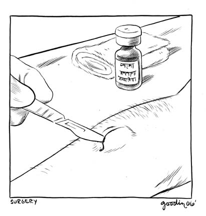 "McSWEENEY'S 21 Dr. Raju Gopalarajan - Surgery" is copyright ©2008 by Robert Goodin.  All rights reserved.  Reproduction prohibited.
