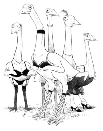 "Subscriptions - Emus in Lingerie" is copyright ©2008 by Robert Goodin.  All rights reserved.  Reproduction prohibited.