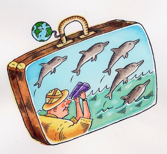 "Dolphin Adventure" is copyright ©2008 by Richard Sala.  All rights reserved.  Reproduction prohibited.