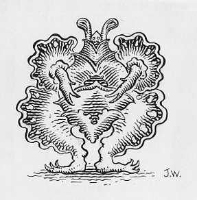 "Inking exercise" is copyright ©2008 by Jim Woodring.  All rights reserved.  Reproduction prohibited.
